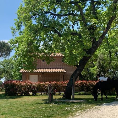 Casina Miriano Villa Castiglione del Lago Exteriör bild