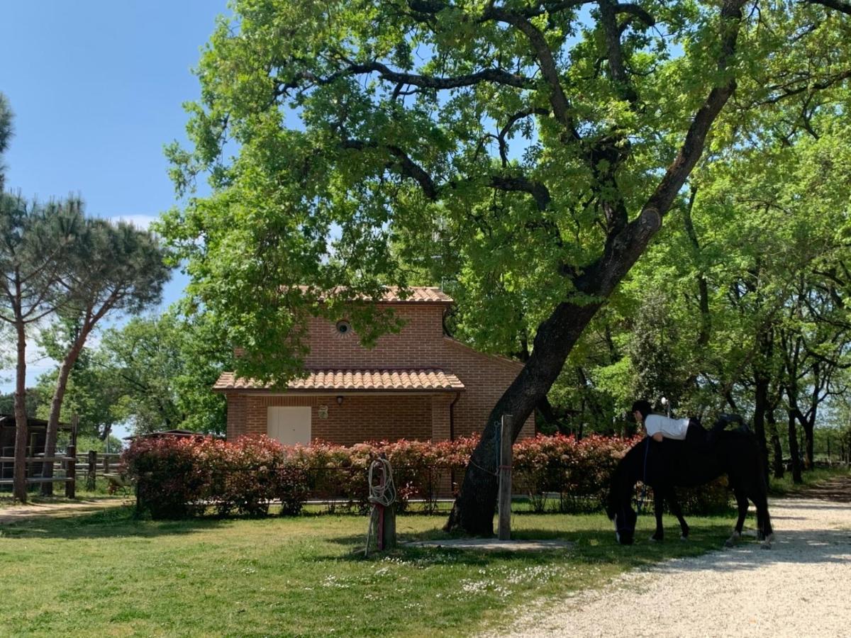 Casina Miriano Villa Castiglione del Lago Exteriör bild