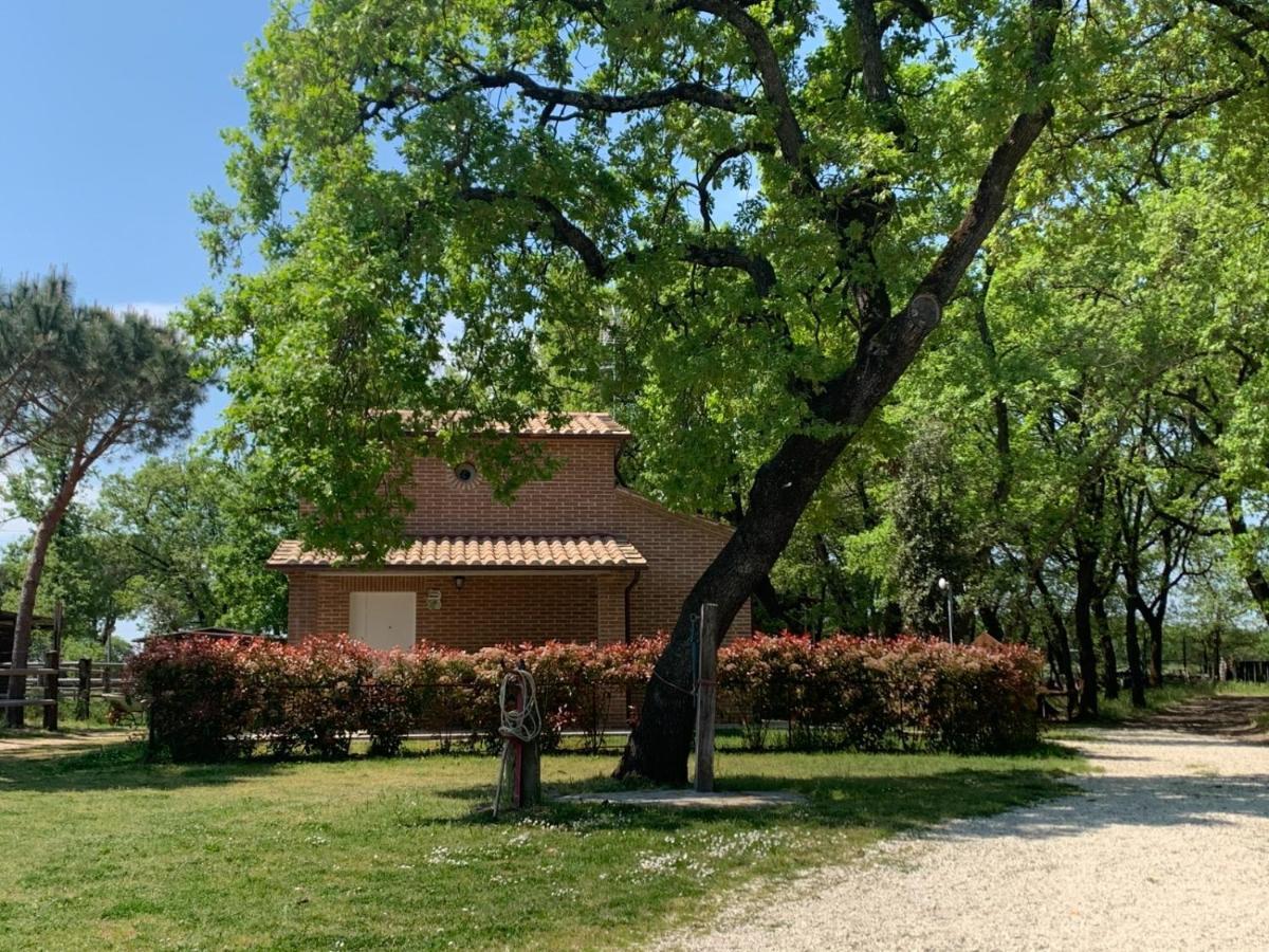 Casina Miriano Villa Castiglione del Lago Exteriör bild